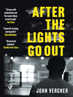 cover image of After the Lights Go Out